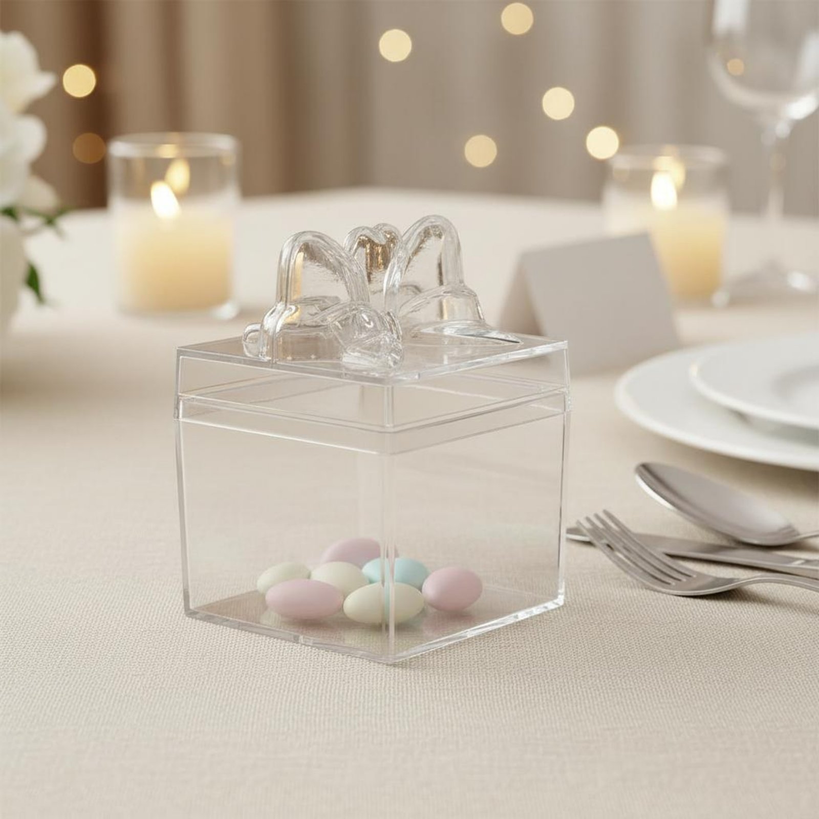 Food Storage Plastic Boxes - Transparente Plastik-Süßigkeitenbox mit Band Mehrzweck Durchsichtige