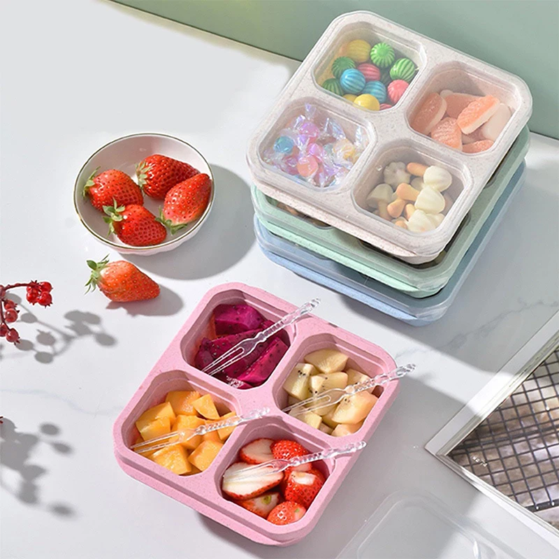 Food Storage Plastic Boxes - 4 Gitter Lebensmittel Aufbewahrung sbox tragbares