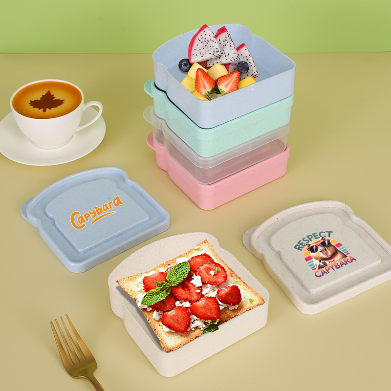 Capybara Sandwich-Aufbewahrung – Food Storage Plastic Boxes Bewertung und Preis