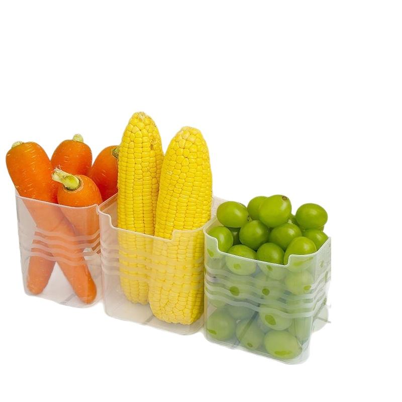 # Transparente Kühlschrank-Leb – Food Storage Plastic Boxes Bewertung und Preis
