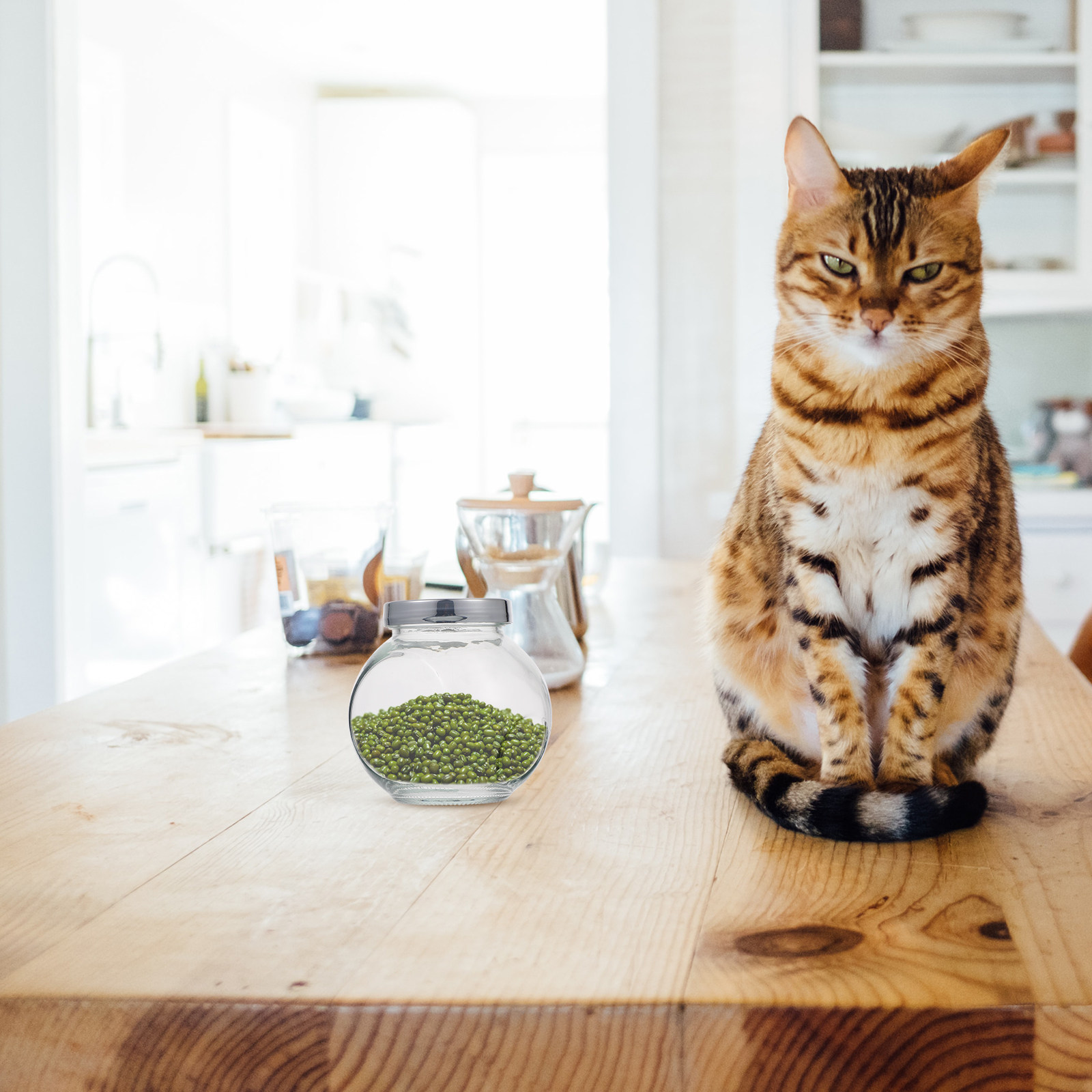 2 Stück Fruchtmarmeladen-Aufbe – Food Storage In The Kitchen Bewertung und Preis